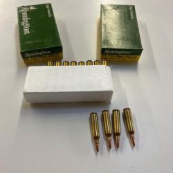 40 munitions remington 22-250 55 gr soft point