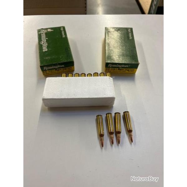 40 munitions remington 22-250 55 gr soft point