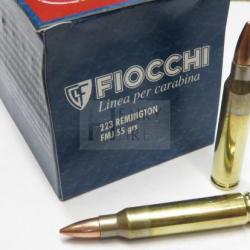 FIOCCHI 223 FMJ 55G X50