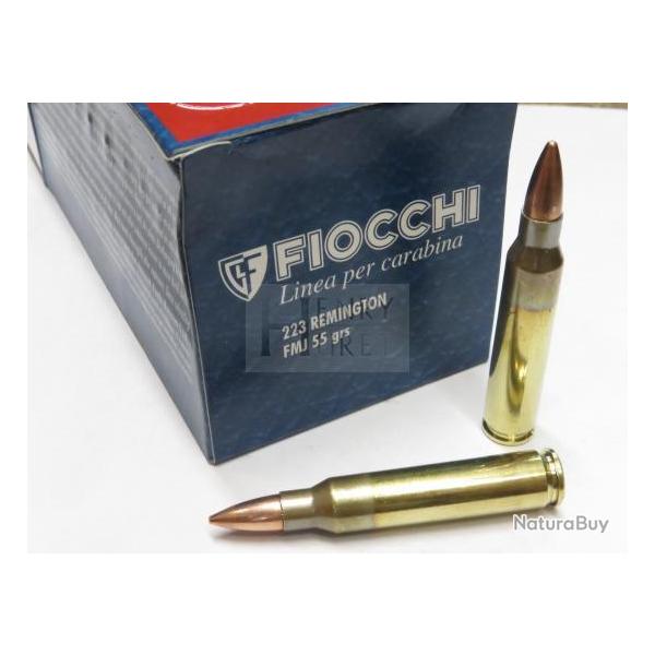 FIOCCHI 223 FMJ 55G X50