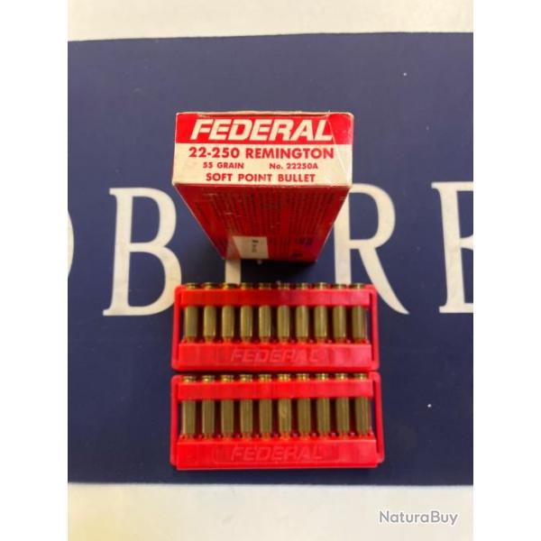 20 balles fdral 22-250  55gr soft point