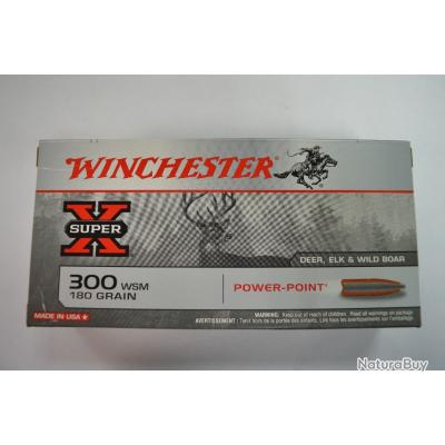 BALLES PREMIUM CAL.300 WSM 180 GR