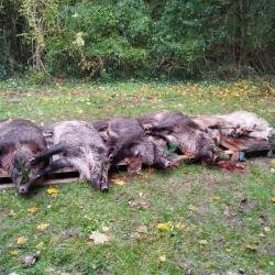 Action de chasse LOIRET