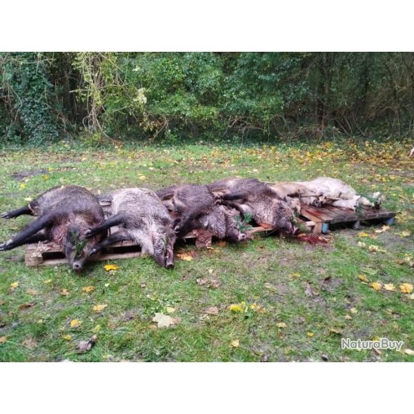 Action de chasse LOIRET