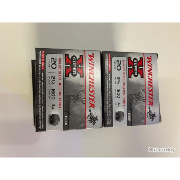 Lot de 10 botes neuves calibre 20 winchester Super X Slug 28g