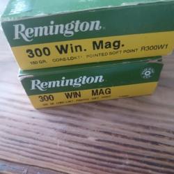 Munitions remington 300 wm.