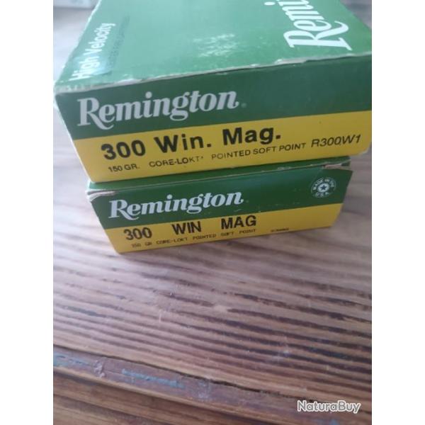 Munitions remington 300 wm.