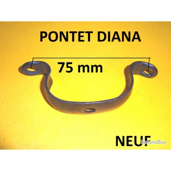 pontet DIANA - VENDU PAR JEPERCUTE (D9T2484)