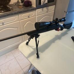 Savage Axis 308