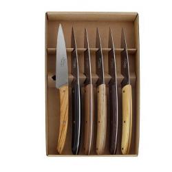 BJB.1039TC Coffret 6 couteaux de table BJB Le Thiers® "Campagne" assortiment