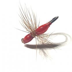 Fourmi rouge sans ardillon h18- MOUCHE SECHE