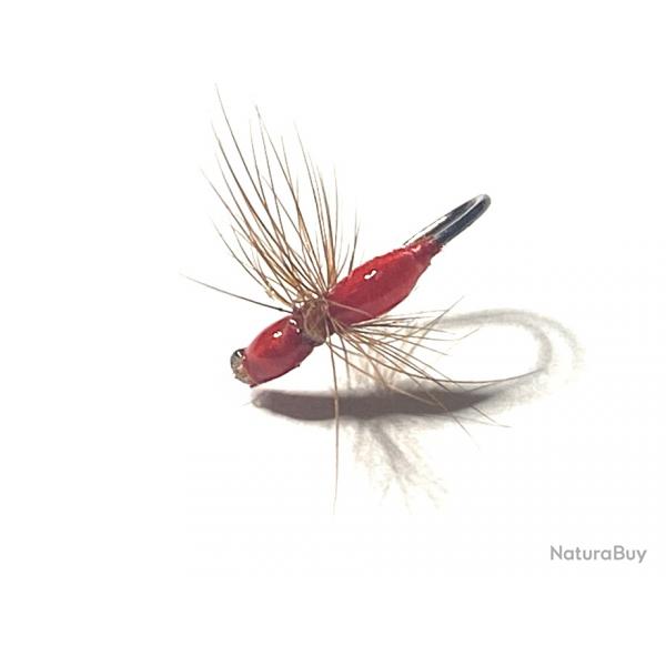 Fourmi rouge sans ardillon h18- MOUCHE SECHE