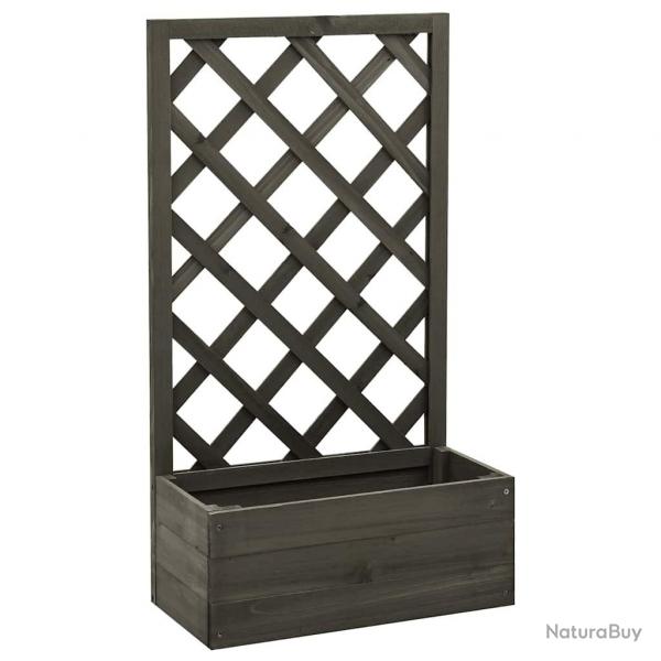 Jardinire  treillis de jardin Gris 50x25x90 cm Bois de sapin alsavelo