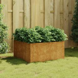 Jardinière 80x80x40 cm acier corten alsavelo