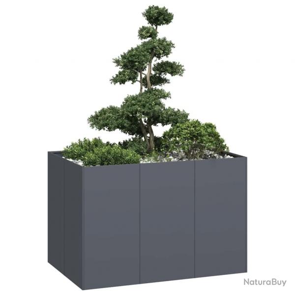 Jardinire anthracite 120x80x80 cm acier alsavelo