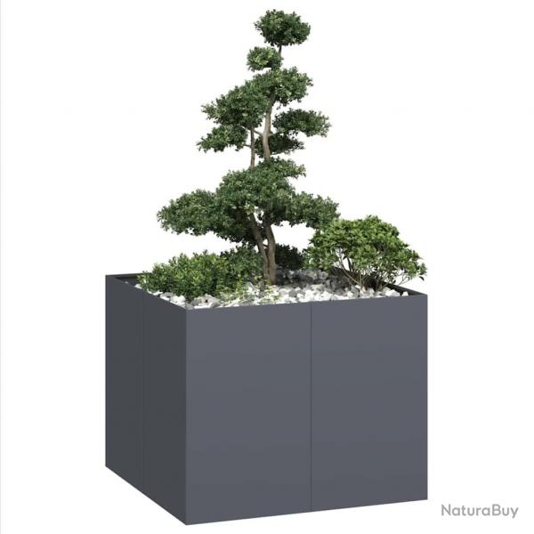 Jardinire anthracite 100x100x80 cm acier alsavelo