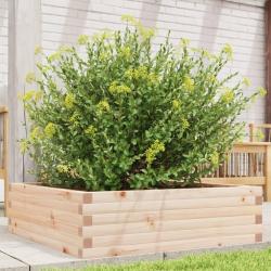 Jardinière 80x80x23 cm bois de pin massif alsavelo