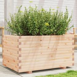 Jardinière 90x60x49,5 cm bois de pin massif alsavelo
