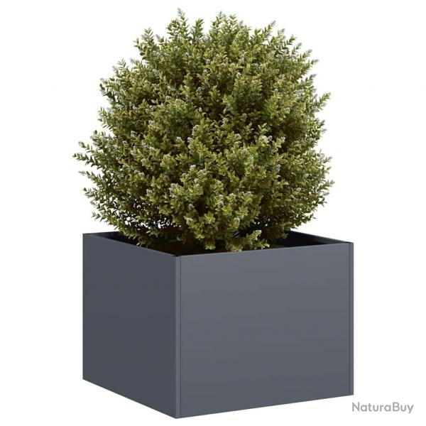 Jardinire anthracite 40x40x30 cm acier alsavelo
