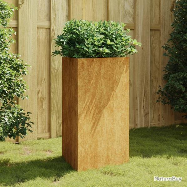 Jardinire 50x43x75 cm acier corten alsavelo