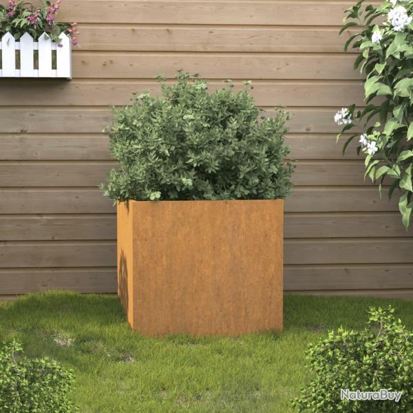 Jardinire 49x47x46 cm acier corten alsavelo