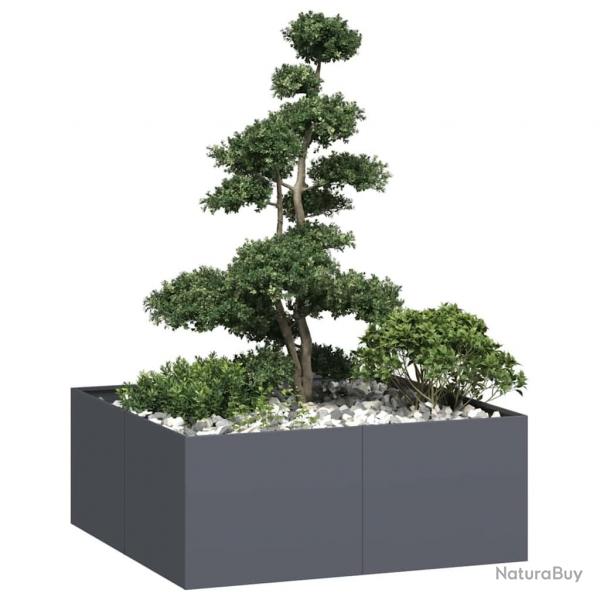 Jardinire anthracite 100x100x40 cm acier alsavelo