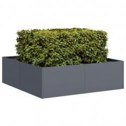 Jardinière anthracite 100x100x30 cm acier alsavelo