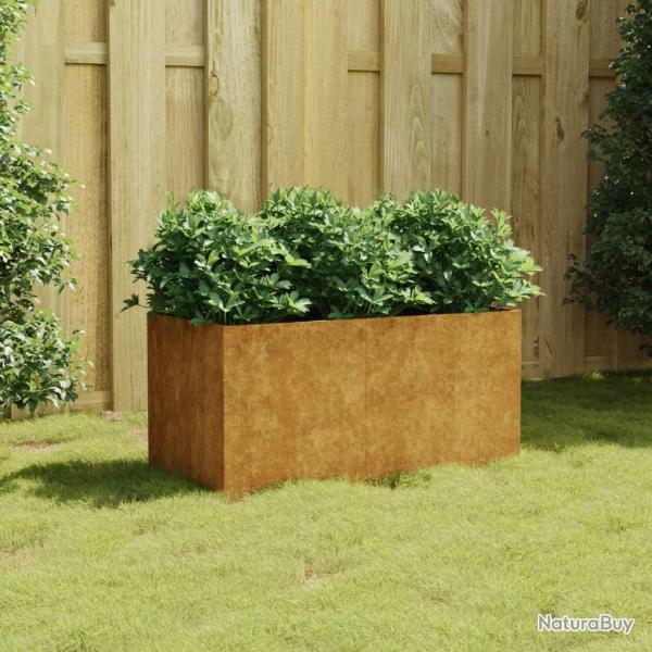Jardinire 80x40x40 cm acier corten alsavelo