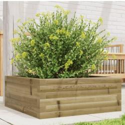 Jardinière 60x60x23 cm bois de pin imprégné alsavelo