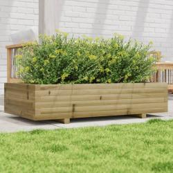 Jardinière 110x60x26,5 cm bois de pin imprégné alsavelo