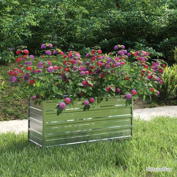 Lit surlev de jardin 100x40x45 cm Acier galvanis Argent alsavelo