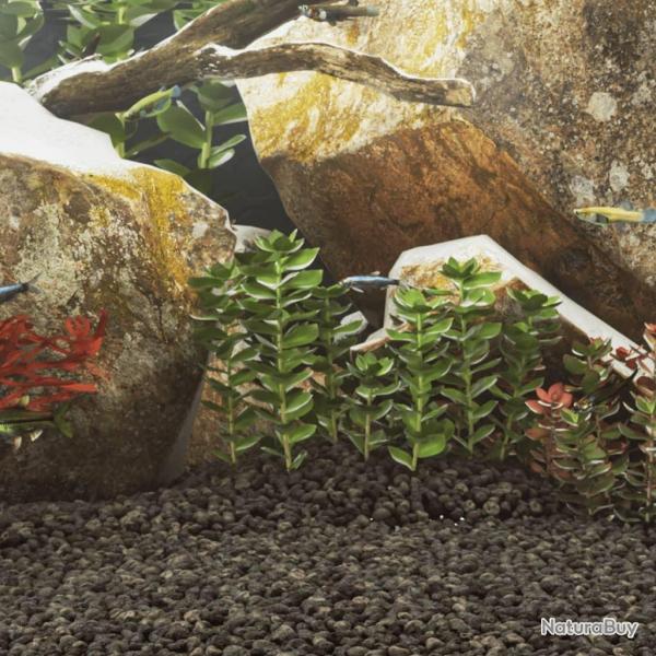 Gravier de basalte 10 kg noir 3-5 mm alsavelo