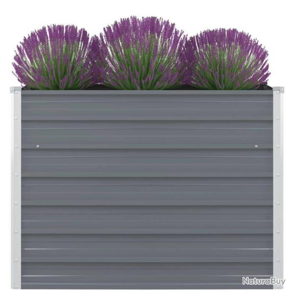 Jardinire 100x100x77 cm Acier galvanis Gris alsavelo