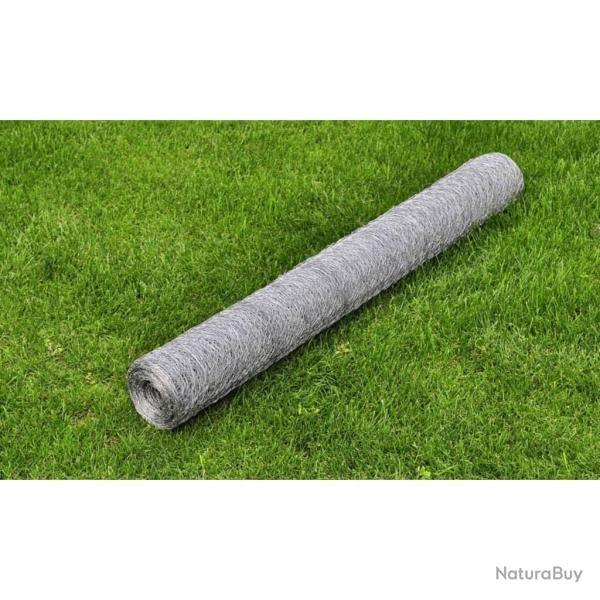 Grillage pour volire Acier galvanis 25 x 0,5 m Argent alsavelo