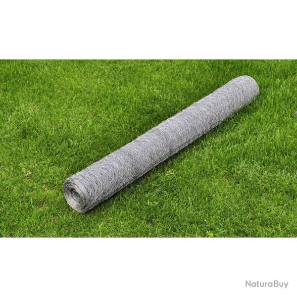 Grillage pour volire Acier galvanis 25 x 0,5 m Argent alsavelo