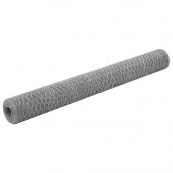 Grillage pour volière Acier galvanisé 25x1,2 m Argenté alsavelo