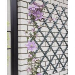 Treillis de jardin 50x150 cm PVC anthracite alsavelo