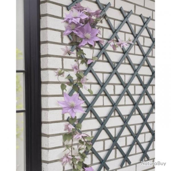 Treillis de jardin 50x150 cm PVC anthracite alsavelo