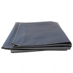 Bâche d'étang PVC 6x5 m Noir alsavelo