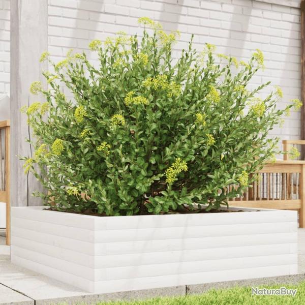 Jardinire blanc 80x80x23 cm bois de pin massif alsavelo