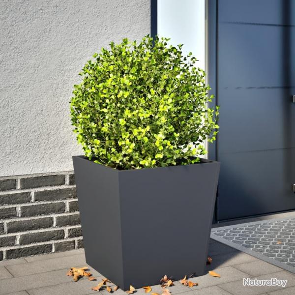 Jardinire anthracite 50x50x50 cm acier alsavelo