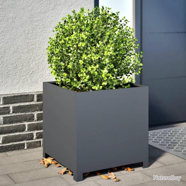 Jardinire anthracite 50x50x50 cm acier alsavelo