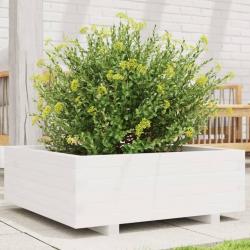 Jardinière blanc 70x70x26,5 cm bois de pin massif alsavelo
