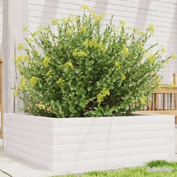 Jardinire blanc 70x70x23 cm bois de pin massif