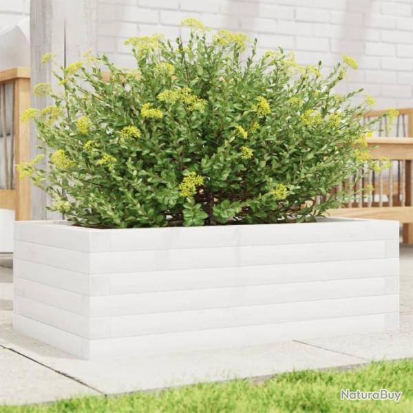 Jardinire blanc 70x40x23 cm bois de pin massif