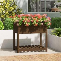 Jardinière avec étagère Marron miel 82,5x54x81 cm Bois de pin alsavelo