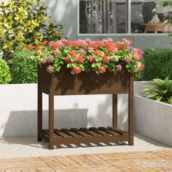 Jardinire avec tagre Marron miel 82,5x54x81 cm Bois de pin