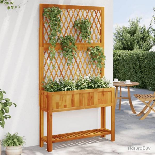 Jardinire avec treillis et tagre bois massif d'acacia alsavelo