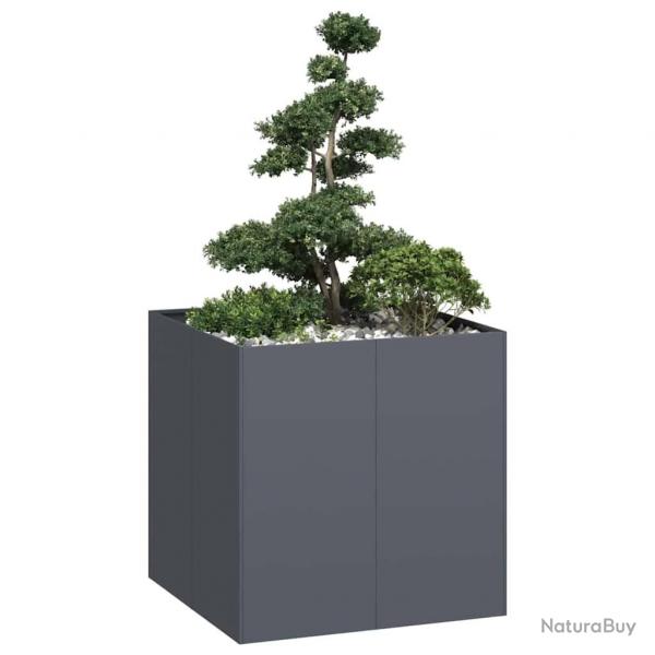 Jardinire anthracite 80x80x80 cm acier alsavelo