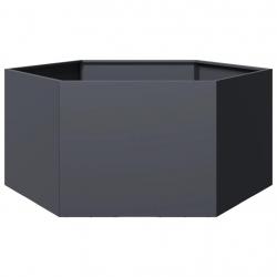 Jardinière anthracite hexagone 104x90x45 cm acier alsavelo